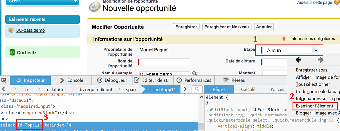 inspecter element salesforce