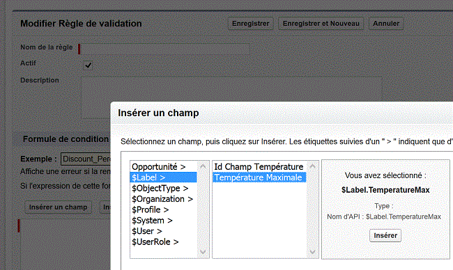 interface labels salesforce