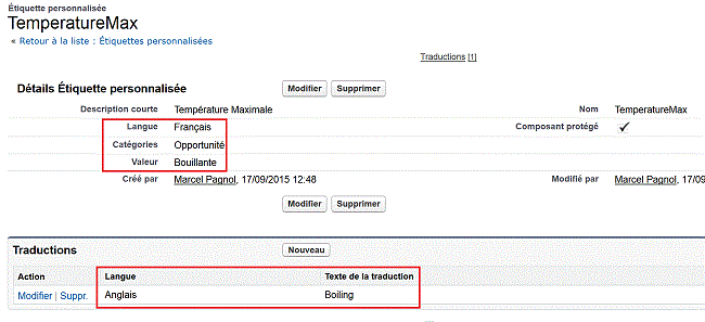 translation workbench custom label salesforce