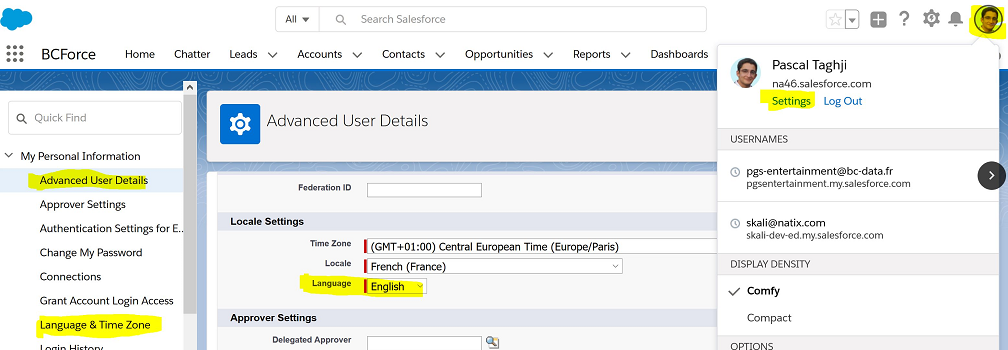 Salesforce Language Settings